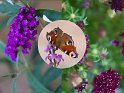 Ans vlinderplant collage