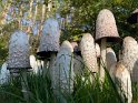 009_Suus Bisseling