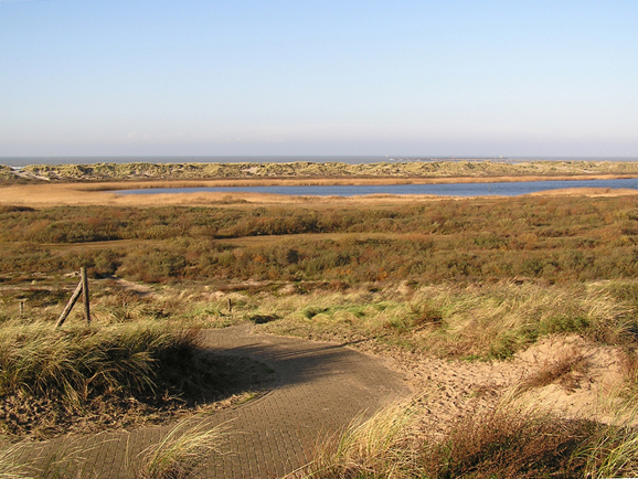 Duinen1.jpg